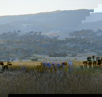 Tumut Cycle Classic - Accommodation Newcastle