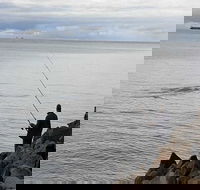 Whale Watching in Portland - Accommodation Newcastle