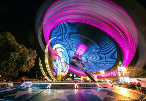 Willunga Almond Blossom Festival - Accommodation Newcastle 2