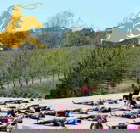 Yoga in the Vines