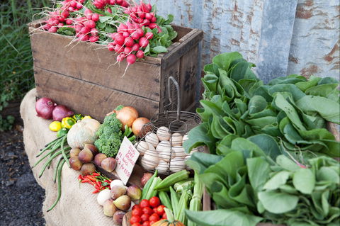 Ma Ma Creek Markets - Accommodation Newcastle 0