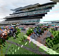 The Everest - Accommodation Newcastle