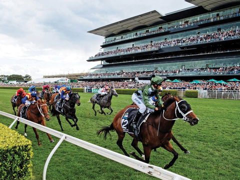 The Everest - Accommodation Newcastle 0