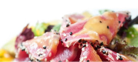 Sushi Yachiyo - Accommodation Newcastle 0