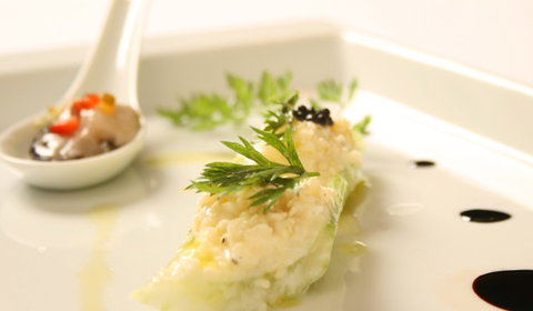 Gatto Matto Trattoria - Accommodation Newcastle 4