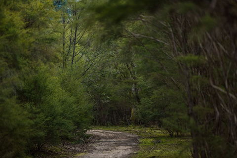 Yering Gorge Cottages - Accommodation Newcastle 0