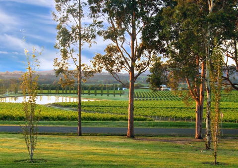 Estate Tuscany - Accommodation Newcastle 6