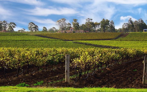 Estate Tuscany - Accommodation Newcastle 3