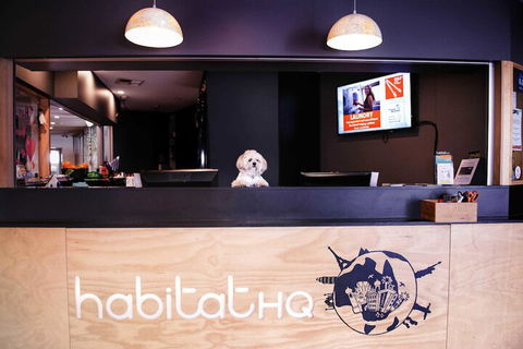 Habitat HQ - Hostel - Accommodation Newcastle 3