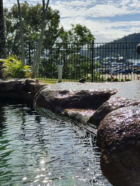 Colonial Palms Motor Inn - Accommodation Newcastle 0