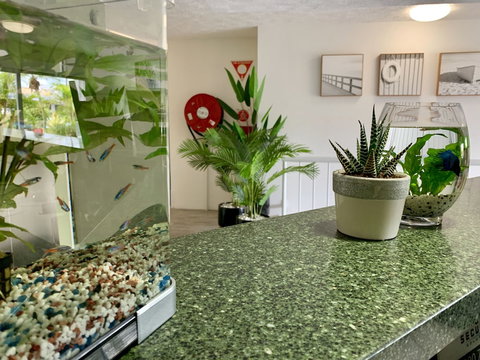 Outrigger Burleigh - Accommodation Newcastle 6