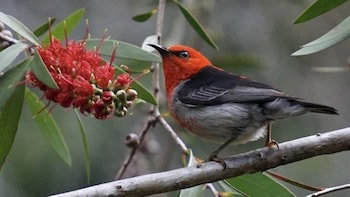 Broken River Mountain Resort - Accommodation Newcastle 3