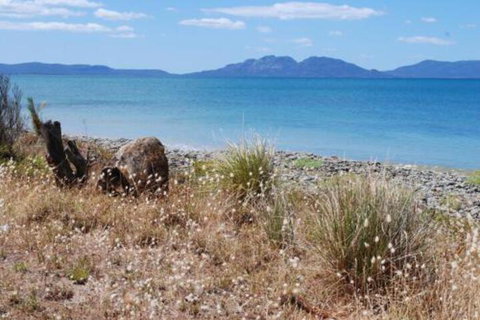 Schouten House - Accommodation Newcastle 1