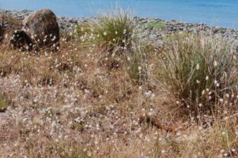 Schouten House - Accommodation Newcastle 0