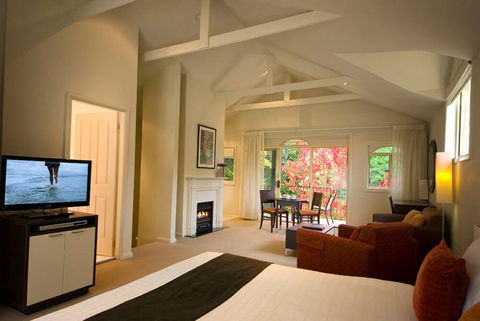 Falls Mountain Retreat - Accommodation Newcastle 4