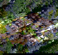 Falls Mountain Retreat - Accommodation Newcastle