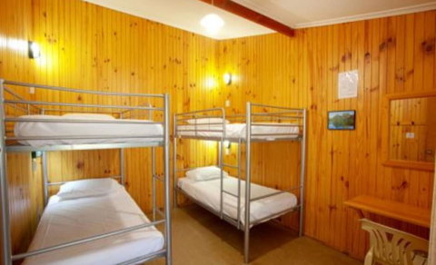Discovery Parks - Cradle Mountain - Accommodation Newcastle 4