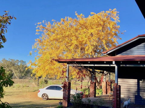 Acheron Valley Country Estate - Accommodation Newcastle 3