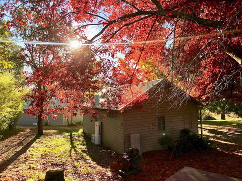 Acheron Valley Country Estate - Accommodation Newcastle 5