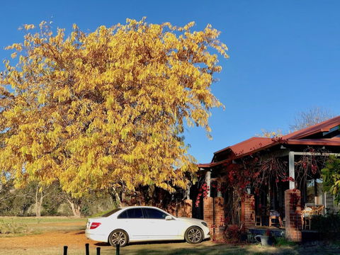 Acheron Valley Country Estate - Accommodation Newcastle 6