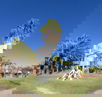 Kalbarri Palm Resort - Accommodation Newcastle
