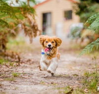 Countrywide Cottages - Accommodation Newcastle