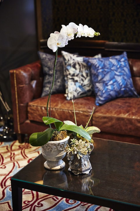 View Brisbane - Accommodation Newcastle 0