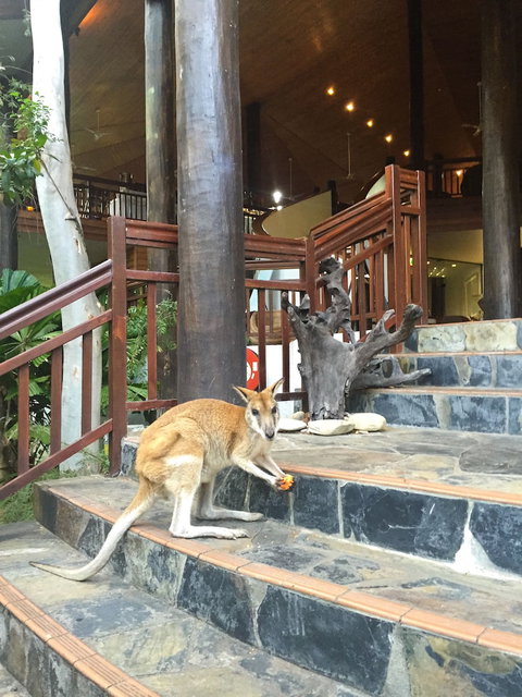 Thala Beach Nature Reserve - Accommodation Newcastle 2