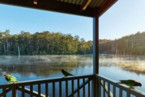 RAC Karri Valley Resort - Accommodation Newcastle 5