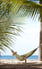 Kewarra Beach Resort & Spa - Accommodation Newcastle 6