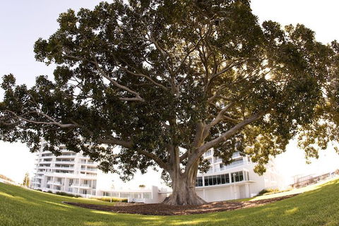 The Sebel Mandurah - Accommodation Newcastle 1
