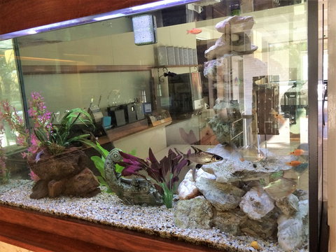 Hospitality Geraldton, SureStay Collection By Best Western - Accommodation Newcastle 6