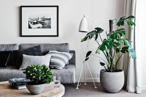 Cumberland Lorne Resort - Accommodation Newcastle 4