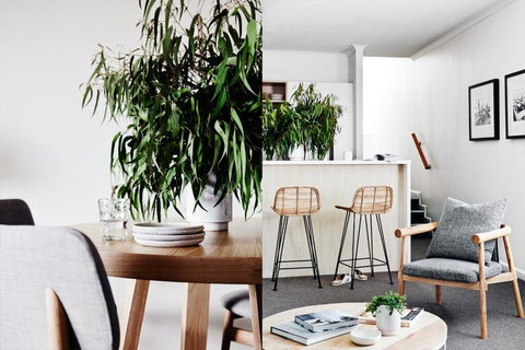 Cumberland Lorne Resort - Accommodation Newcastle 2