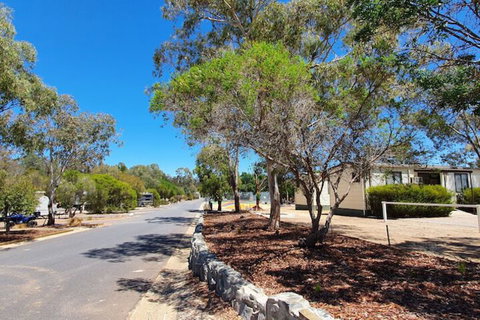 Capital Country Holiday Park - Accommodation Newcastle 3