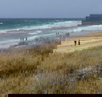 Scarborough  Absolutely Beachfront - Accommodation Newcastle