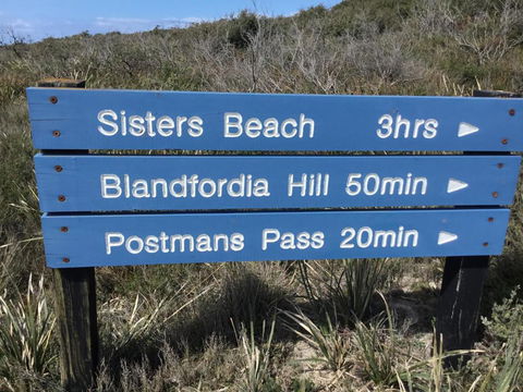 Beths Cottage Roaring 40s - Accommodation Newcastle 1