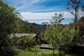 Buttercuphill B&B - Accommodation Newcastle 0