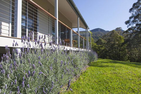 Wilderberry Cottage - Accommodation Newcastle 4