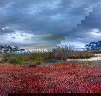 Saintys Creek Cottage - Accommodation Newcastle