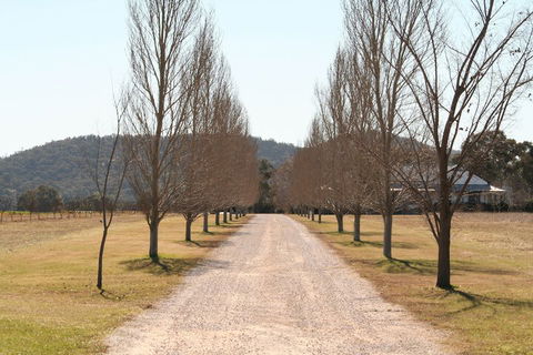 The Farmhouse At Blue Wren Wines - Accommodation Newcastle 4