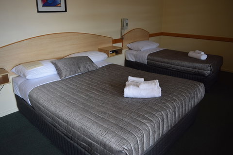 Warwick Vines Motel - Accommodation Newcastle 4