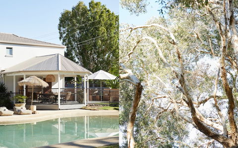 The Brunswick, Brunswick Heads - Accommodation Newcastle 1