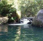 Daintree Secrets Rainforest Sanctuary - Accommodation Newcastle