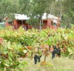 Fergies Hill Spa Cottage at Granite Ridge Wines - Accommodation Newcastle
