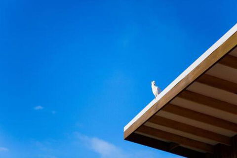 Wye Not Escape - Accommodation Newcastle 6