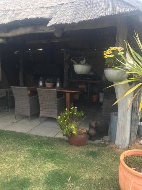 Yellow Gum Bed & Breakfast - Accommodation Newcastle 4