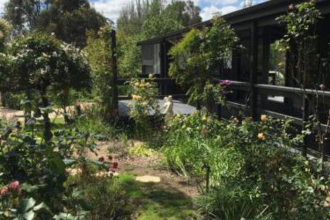 Hilltop Too - Accommodation Newcastle 6