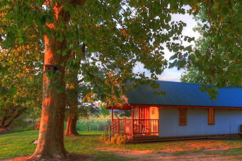 Colac Colac Caravan Park - Accommodation Newcastle 5
