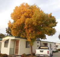 Wodonga Caravan  Cabin Park - Accommodation Newcastle